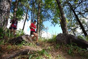 BIB: 32237
                            <button type="button" onclick="openModal(18888210)" class="btn btn-primary btn-sm float-right btn-popup" data-toggle="modal" data-target=".modal-high-quality">
                        <i class="fas fa-shopping-cart"></i> Add to Cart
                    </button>
                                            <button type="button" onclick="isThisMe(18888210, true)" class="btn btn-success btn-sm float-right btn-popup btn-isme hidden" data-toggle="tooltip" data-placement="bottom" title="นี่คือรูปของคุณใช่ไหม คลิกที่นี่เพื่อเอาเข้าอัลบั้ม">
                        <i class="fas fa-plus"></i> Add to album
                    </button>
                    <button type="button" onclick="isThisMe(18888210, false)" class="btn btn-warning btn-sm float-right btn-popup btn-isnotme hidden">
                        <i class="fas fa-ban"></i> Remove from album
                    </button>